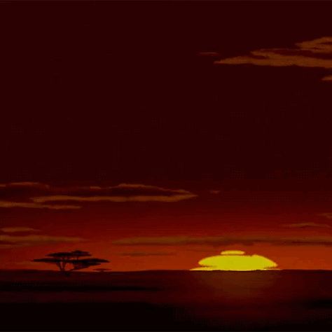 King Gif, Giphy Gif, The Lion King, Circle Of Life, The Lion, Lion King, Northern Lights, Lion, Gif