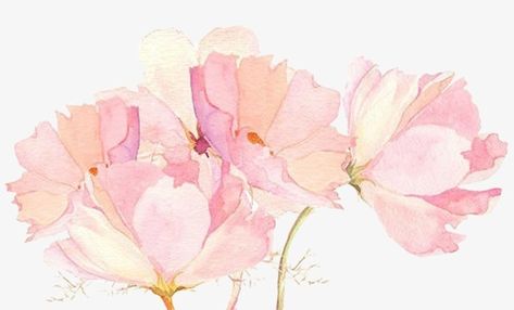 Phone Backgrounds, Iphone Arkaplanları, 수채화 그림, Watercolor Wallpaper, Floral Iphone, Pink Watercolor, Wallpaper Downloads, Flower Backgrounds, Flower Wallpaper