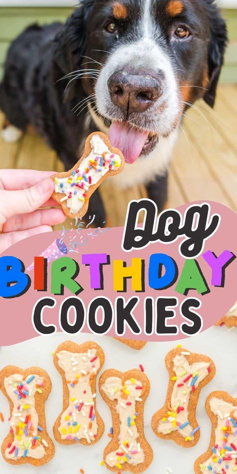 Dog Birthday Biscuits, Dog Birthday Cookies Recipe, Puppy Cookies Doggie Treats, Pup Cakes Doggie Birthday, Frosting For Dog Treats, Dog Desserts Recipes, Diy Dog Cookies, Icing For Dog Treats, Frosted Dog Treats