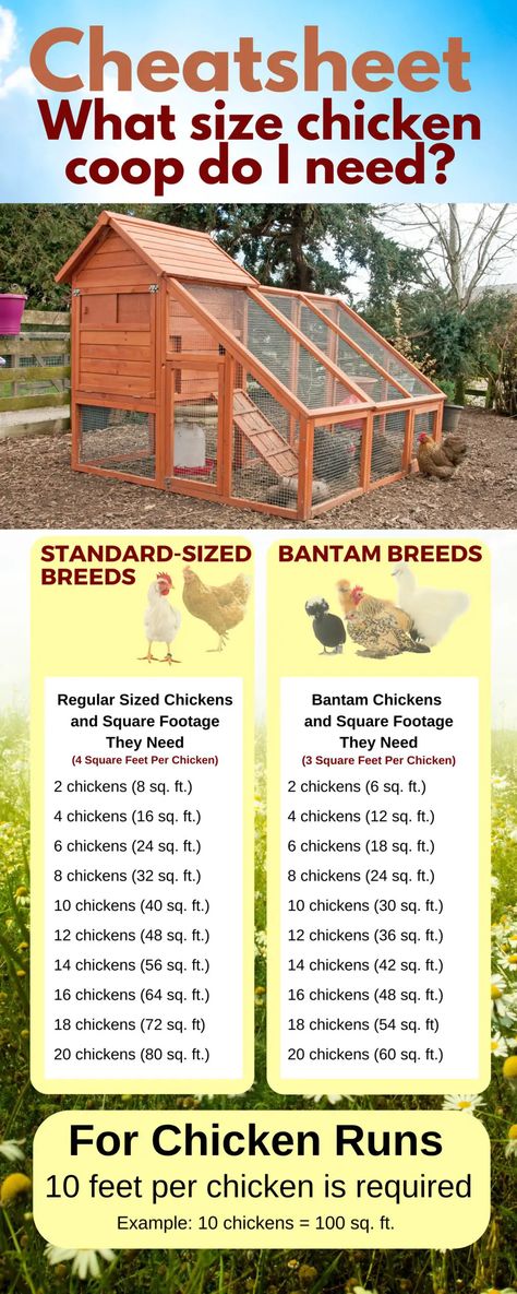 FREE 5×8 A-Frame Chicken Coop Plan - Free Chicken Coop Plans Diy Chicken Run Ideas Easy Cheap, Chicken Pen Ideas Diy, Diy Chicken Coop With Run, Easy Chicken Coop Plans, Diy Chicken Coop Ideas Easy Cheap, Chicken Coop Designs Diy Cheap, Unique Chicken Coop, Diy Chicken Run Cheap, Backyard Chicken Coop Ideas