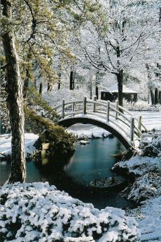 Japanese Landscape Art, Moon Bridge, Photography Japanese, Japanese Winter, Japanese Garden Design, Winter Szenen, Japanese Gardens, Japanese Landscape, Winter Scenery