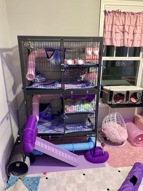 Diy Ferret Cage Accessories, Ferret Cage Setup Ideas, Cute Rat Cage Ideas, Rats Cage Ideas, Cute Rat Cage, Ferret Cage Setup, Ferret Enclosure Ideas, Ferret Cage Ideas Homemade, Rat Enclosure Ideas