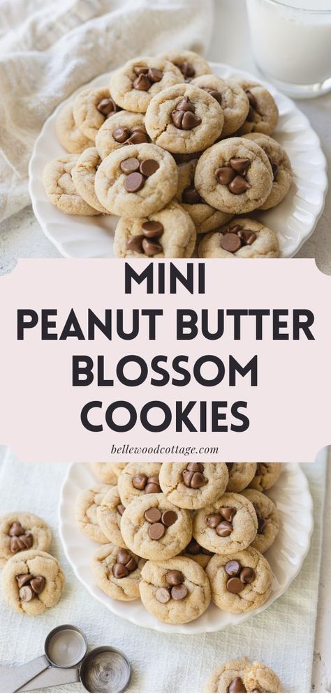 These Mini Peanut Butter Blossom Cookies are a tiny version of the classic original. They are chewy peanut butter cookies rolled in sugar topped with the perfect ratio of chocolate-to-cookie. These mini cookies are made with regular size milk chocolate chips--no unwrapping dozens of candies required! Try making them for a holiday cookie exchange--so fun! Mini Peanut Butter Cookies, Tiny Cookies Bite Size, Mini Cookies Recipe Bite Size, Blossom Cookies Recipe, Mini Cookie Recipe, Mini Sugar Cookies, Wedding Recipes, Jar Cakes, Small Batch Cookie Recipe