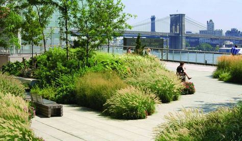 10 Best Waterfront Parks In NYC With The Most Amazing Views - Secret NYC Contemporary Landscape Design, Landscape And Urbanism, Landscape Architecture Design, Rooftop Garden, Landscaping Tips, Parking Design, Roof Garden, Green Roof, Landscape Projects