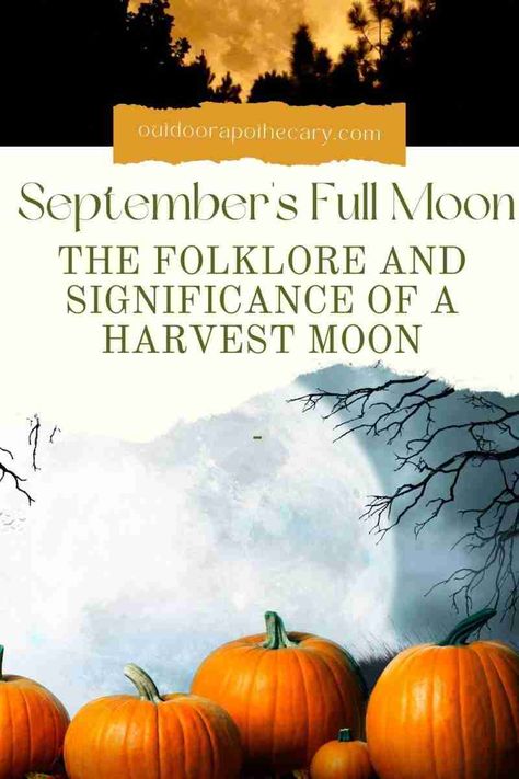 Harvest Full Moon 2023, Harvest Moon Crystals, Harvest Moon Recipes, Full Moon September 2023, September Full Moon 2024, Harvest Full Moon Ritual, Harvest Moon 2023, Harvest Moon Ritual, September Magic