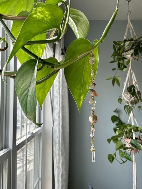 Plant Beading, Diy Crystal Crafts, Aesthetic Plant, Nature Room, Plant Accessories, Household Plants, Plant Jewelry, Plants Are Friends, Inside Plants