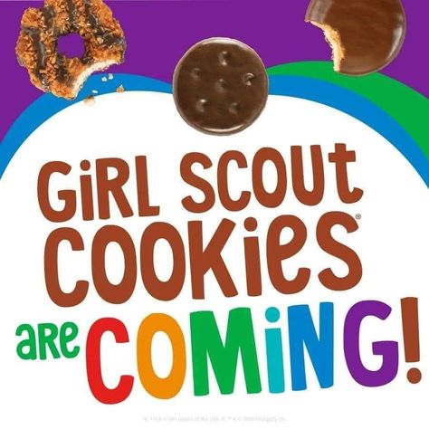 Girl Scout Logo, Girl Scout Mom, Girl Scout Cookie Sales, Gs Cookies, Girl Scouts Brownies, Girl Scout Patches, Cookie Pictures, Scout Mom, Girl Scout Camping