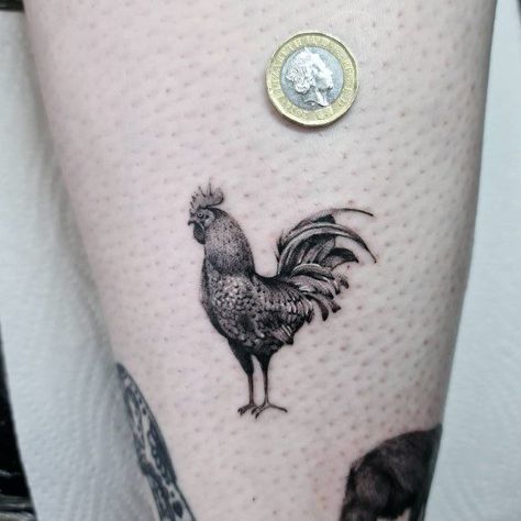 Top 100 Best Rooster Tattoos For Women - Chicken Design Ideas Traditional Rooster Tattoo Design, Rooster Tattoo For Women, Chicken Tattoos For Women, Rooster Tattoo Design, Chicken Tattoo, Rooster Tattoo, Le Tattoo, Inner Bicep Tattoo, White Tattoos