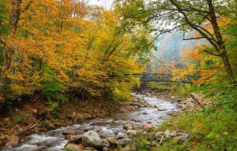 5 Great Hiking Trails for Fall in Bennington VT - Vermont Begins Here Wilmington Vt, Vermont Hiking, Bennington Vermont, Vermont Vacation, Vermont Fall, Fall Camping, Donna Tartt, Beautiful Farm, Girls Getaway