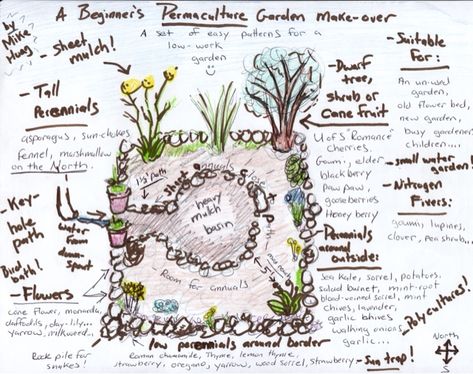 Permaculture Garden Layout, Keyhole Garden Design, Landscaping Pathways, Food Forest Garden, Keyhole Garden, Garden Layout Ideas, Permaculture Garden, Community Spaces, Tall Shrubs