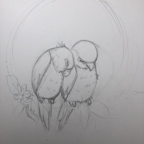 Drawings Ideas For Girlfriend, Birds Kissing Drawing, Parotts Bird Sketch, 2 Ducks Drawing, Bird Couple Drawing, Love Birds Sketch, Birds In Love Drawing, Love Birds Drawing Simple, Bird Drawing Aesthetic