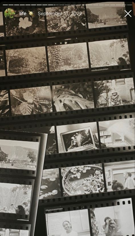 film negatives, film camera inspo, film pics, film aesthetic, black and white film, old film camera aesthetic, insta story inspo, instagram story aesthetic Film Rolls Aesthetic, Photo Film Aesthetic, Camera Film Roll Aesthetic, Film Roll Aesthetic, Film Strip Aesthetic, Old Film Roll, Black And White Film Aesthetic, Old Film Aesthetic, Filming Aesthetic