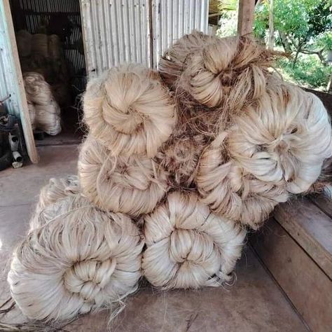 Abaca fiber for sale pm me if interested Tinagak is also available Abaca Fiber, Assignment Ideas, Trading Company, For Sale, Quick Saves, Instagram