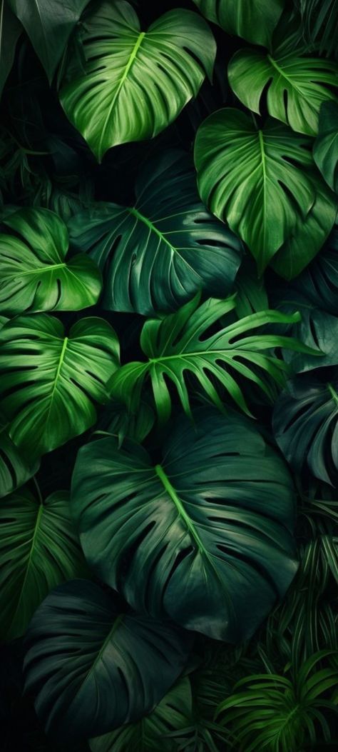 Bohemian Aesthetic Wallpaper, Plants Wallpaper Aesthetic, Botanical Iphone Wallpaper, Wallpaper Aesthetic Green, Leaves Wallpaper Iphone, Green Nature Wallpaper, Iphone Wallpaper Hd Nature, Leaves Wallpaper, Lovely Flowers Wallpaper