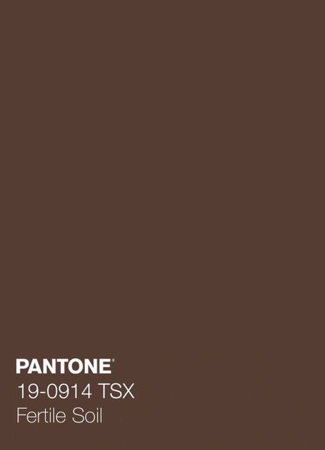 Pantone Colors Brown, Pantone Brown, Skin Tone Palette, Dark Academia Theme, Food Colors Palette, Pantone Color Swatches, Futuristic Minimalism, Colour Pantone, Brown Pantone