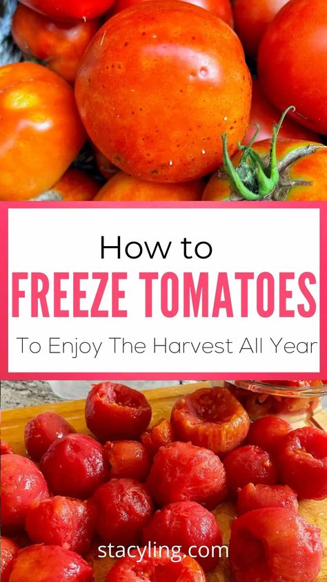 Looking for ways to preserve your garden harvest? While canning is the most popular, freezing tomatoes is super easy and works just as well! #freezingtomatoes #freezingtomatoeseasy #freezingtomatoesdiced #freezingtomatoeswhole #freezingtomatoessauce #freezetomatoes #freezetomatoeshowto #freezetomatoeseasy #tomatoes # Preserving Produce, How To Freeze Tomatoes, Freeze Lemons, Freeze Vegetables, Recipes With Diced Tomatoes, Freezing Veggies, Frozen Things, Freeze Food, Freezing Tomatoes