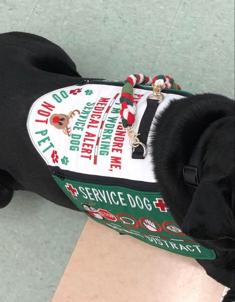 Service Dog Gear, Psychiatric Service Dog, Psychiatric Services, Service Dog Patches, Service Dogs Gear, Cat Kennel, Service Dog Training, Service Dog Vests, Christmas Service