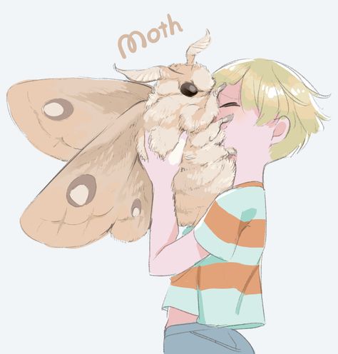 Cute Moth Art, Fluffy Moths, Fancy Animals, Moth Drawing, Cute Moth, Moth Art, Creature Drawings, Cute Doodles Drawings, Cute Little Drawings