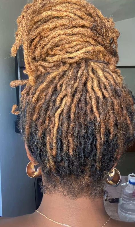 West Indie Ray Locs, Locs With Blonde Tips, Locs With Highlights, Honey Blonde Locs, Locs Ideas, Black And Blonde Ombre, Loc Hairstyles, Blonde Tips, Beautiful Locs