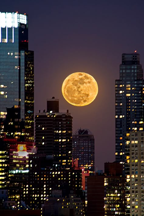 Love the DEPTH of moonlight! Shoot The Moon, Tall Buildings, Moon Pictures, Fly Me To The Moon, I Love New York, The Windy City, Super Moon, Beautiful Moon, The Full Moon