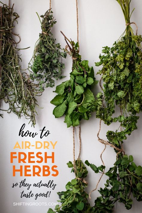 I love growing herbs in my garden but I never know how to preserve them so they still taste good.  I can't believe how easy it is to preserve herbs with air drying--although there's more to it than meets the eye.  This post has lots of good tips. #herbs #air #drying #preserving Fresco, Garden Types, Preserve Herbs, Drying Fresh Herbs, Herbs At Home, Preserving Herbs, Herb Gardening, Veg Garden, Indoor Gardens