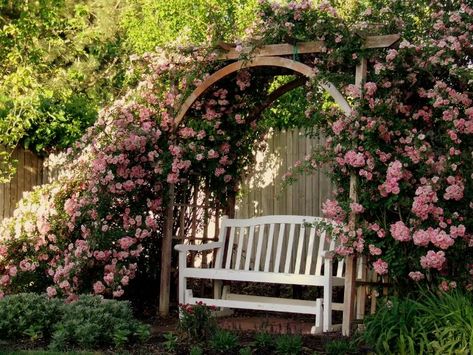 . Garden Archway, Rose Arbor, Climbing Flowers, Flower Arch, Garden Arbor, Garden Arches, Garden Swing, Garden Deco, Romantic Garden