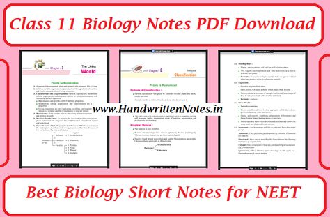 Class 11 Biology Notes PDF Download | Best Biology Short Notes for NEET | 102 Pages,7 MB, Google Drive Download Link, English Medium, Best for Quik Revision Biology Short Notes For Neet, Biomolecules Notes Biology Class 11 Neet, Haloalkanes And Haloarenes Notes, Class 11 Biology Notes, Biology Class 11, Class 11 Biology, Neet Biology, Neet Notes, Mineral Nutrition