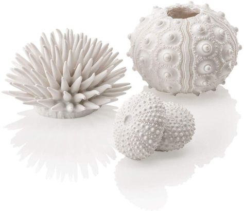 biOrb 48364 Sea Urchins Set White/White: Amazon.co.uk: Pet Supplies Black And White Fish Tank, White Fish Tank, Biorb Fish Tank, Green Aquarium, Sea Urchins Art, Black And White Fish, Ceramic Coral, Marine Fish Tanks, Aquarium Set