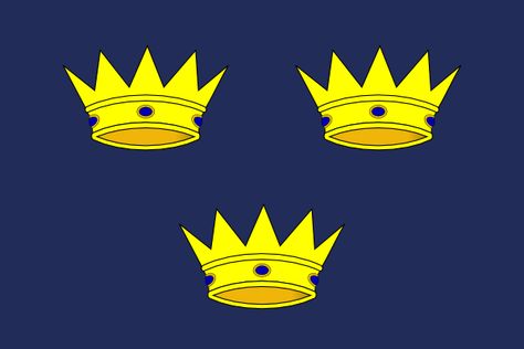 Flag of Munster. Munster Ireland, County Cork Ireland, Ireland Flag, County Cork, American Mom, Cork Ireland, National Symbols, Irish Heritage, Republic Of Ireland