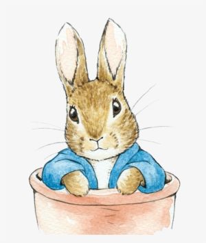 Peter Rabbit Illustration, Peter Rabbit Characters, Beatrix Potter Illustrations, Rabbit Clipart, Peter Rabbit Nursery, Rabbit Png, Peter Rabbit Birthday, Peter Rabbit Party, Peter Rabbit And Friends