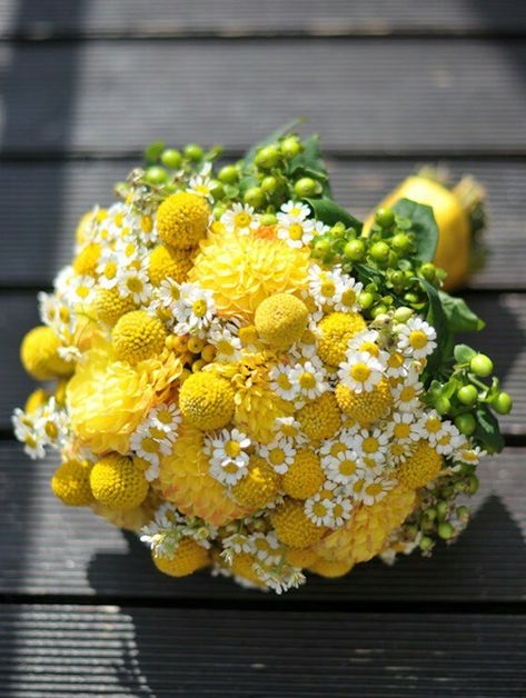 Whimsical Wedding Posy: Yellow Chrysanthemums, White/Yellow Chamomile, Yellow Craspedia (Billy Balls, Billy Buttons) + Green Hypericum Berries Billy Buttons Bouquet, Yellow Flowers Bouquet, Chrysanthemum Wedding, Chrysanthemum Bouquet, Yellow Chrysanthemum, Yellow Bouquets, Billy Balls, Billy Buttons, Button Bouquet