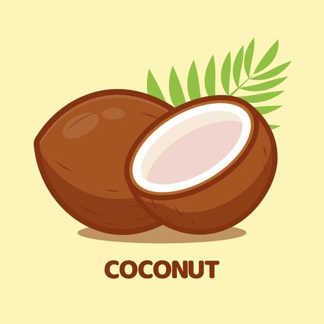 Coconut cartoon vector icon illustration isolated Coconut Pictures Cartoon, Coconut Cartoon, Coconut Illustration, Coconut Vector, Coconut Candy, Minimalist Graphic Design, Writing Code, Fruit Picture, Vector Icons Illustration