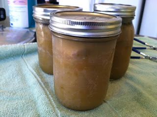 Canned Pork Chili Verde! The sauce is awesome, can't wait until the canner is done and I can try the finished product. Canning Pork, Pork Chili Verde, Slow Cooker Pumpkin Butter, Pear Relish, Chili Verde Pork, Green Chili Pork, Raw Pork, Pork Chili, Banana Butter