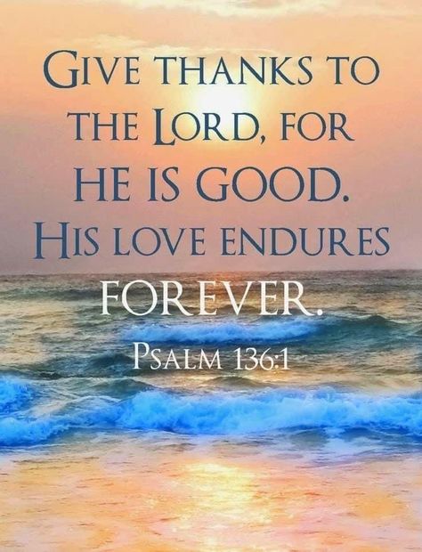 Inspiring Bible Verses, Inspirational Scripture Quotes, Psalm 136, Bible Quotes Images, Beautiful Bible Verses, Powerful Bible Verses, Bible Promises, Bible Love, Biblical Verses