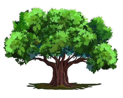 Vector baniyan tree big tree for 2d anim... | Premium Vector #Freepik #vector #big-tree #banyan-tree #village-tree #big-tree-village 2d Tree, Tree Animation, Village Tree, Tree Village, Pink Flowers Wallpaper, Indian Village, Banyan Tree, Big Tree, Cartoon Background