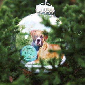 Diy Christmas Presents For Grandparents, Dog Ornaments Diy, Presents For Grandparents, Diy Dog Christmas, Christmas Presents For Grandparents, Diy Photo Ornaments, Nonalcoholic Drinks, Pet Recipes, Disney Christmas Tree