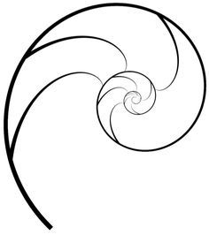 Nautilus Shell. Symbol of growth. Golden Spiral Tattoo, Nautilus Tattoo, Fibonacci Tattoo, Spiral Tattoos, Ocean Tattoo, Shell Tattoos, Organic Tattoo, Ocean Tattoos, Fibonacci Spiral