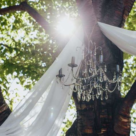 Slide 3 of 19: Hang Chandeliers From TreesA chandelier will add light and elegance to an outdoor wedding reception. And you can hang the chandelier from a large tree branch with a strong rope to take advantage of the natural outdoor setting. If your wedding venue doesn't have an abundance of trees, you can also hang chandeliers from a homemade arbor and decorate it with floaty blooms and lots of greenery.And be sure to tie the chandeliers tight and securely with these 5 knots to know. Chandelier Outside Wedding, Chandelier Hanging From Tree, Chandelier In Tree Wedding, Tree Chandelier Outdoor, Chandelier Outdoor Wedding, Diy Wedding Chandelier, Diy Outdoor Chandelier Ideas, Diy Outdoor Wedding Decorations, Homemade Arbor