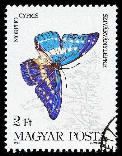 طوابع بريد, Postage Stamp Design, Bd Art, Going Postal, Butterfly Stamp, Postage Stamp Art, Vintage Postage Stamps, Vintage Postage, Post Stamp