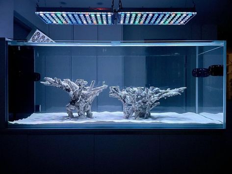 Intermediate Topic - Most beautiful aquascape reef tanks – Atlantik iCon LED lighting | REEF2REEF Saltwater and Reef Aquarium Forum Reef Tank Design, Reef Aquascaping, Nano Reef Tank, Easy Hobbies, Coral Reef Aquarium, Reef Tanks, Spaceship Interior, Aquascape Aquarium, Saltwater Tank