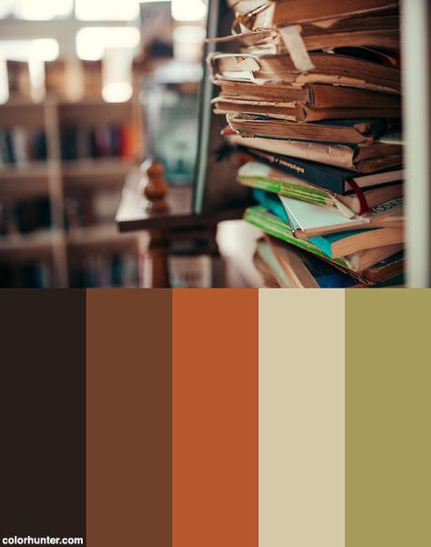 Old Books In The Library. Color Scheme from colorhunter.com Old Book Color Palette, Library Colour Scheme, Library Colour Palette, Book Colour Palette, Old Color Palette, Library Color Palette, Book Color Palette, Study Spaces, Old Bookcase