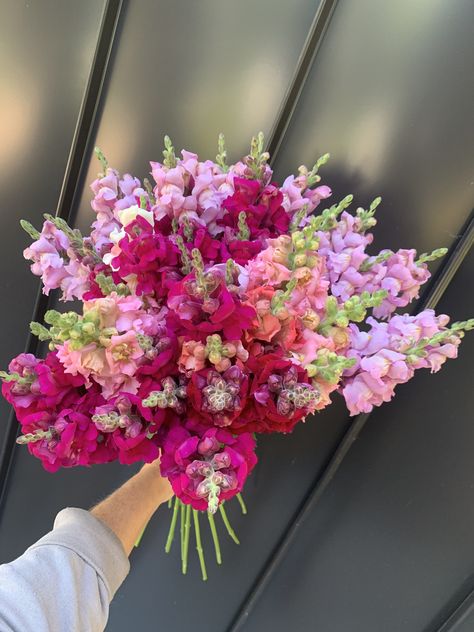 Snap Dragons Bouquet, Snapdragon Wedding Bouquet, Snapdragon Flowers Bouquets, Snapdragons Bouquet, Snapdragon Wedding, Snapdragon Bouquet, Simple Bouquet, Snapdragon Flowers, Farm Flowers