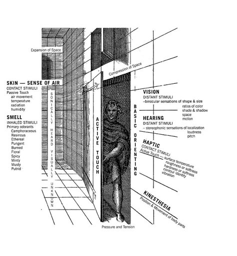 Why sensory design? | Cooper Hewitt, Smithsonian Design Museum Sensory Museum, Sensory Architecture, Sensory Design, Interactive Architecture, Architecture Section, Installation Architecture, Sensory Details, Urban Design Diagram, Architectural Concept