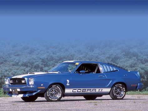 Idk Cars, 1976 Ford Mustang, Mustang Shelby Cobra, Classical Cars, Cars Mustang, Blue Mustang, Ford Mustang Shelby Cobra, Old American Cars, 1970s Decor