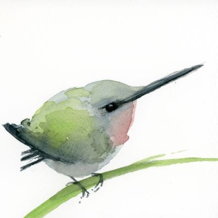 Fledgling Ruby-throated Hummingbird ~ Holly Wach ~ Baby Bird Watercolor Prints – Holly Wach Art Painted Bunting Watercolor, Watercolor Paintings Beginner, Unique Watercolor Paintings Ideas, Small Watercolor Paintings Easy, Water Colour Birds, Watercolor Birds Easy, Mini Watercolor Paintings Easy, Whimsical Watercolor Art, Hummingbird Watercolour