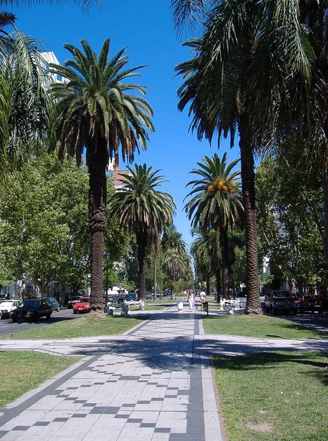 Bullevar Oroño, Rosario, Santa Fe, Argentina Princess Stories, Story Fake, Tree Line, Eternal Sunshine, Sports Cars Luxury, Glass Crafts, Santa Fe, Around The Worlds, Collage