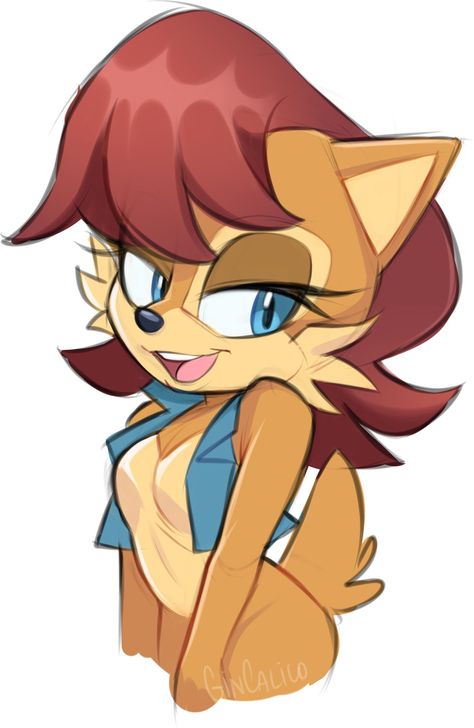 Sonic Satam, Archie Comics Characters, Sally Acorn, Silver The Hedgehog, Sonic And Amy, A Hat In Time, Sonic Fan Characters, Hedgehog Art, Sonic Fan Art