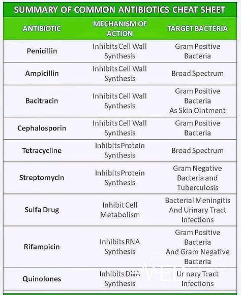 Common Antibiotics Antibiotics Cheat Sheet, Nursing Facts, Microbiology Study, Np School, Nursing Information, Nursing Cheat, Student Info, Vet Medicine, Nursing Mnemonics