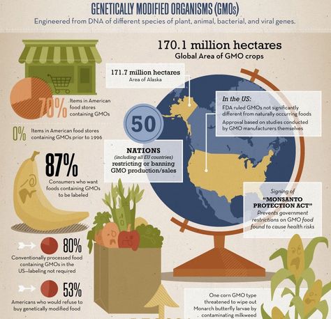 #Infographic about Genetically Modified Organisms (GMOs) Gmos Infographic, Preschool Healthy Eating, Genetically Modified Organisms, Ecommerce Infographic, Health Care Aide, Middle School Lesson Plans, Health Facts Food, Middle School Lessons, Food Infographic