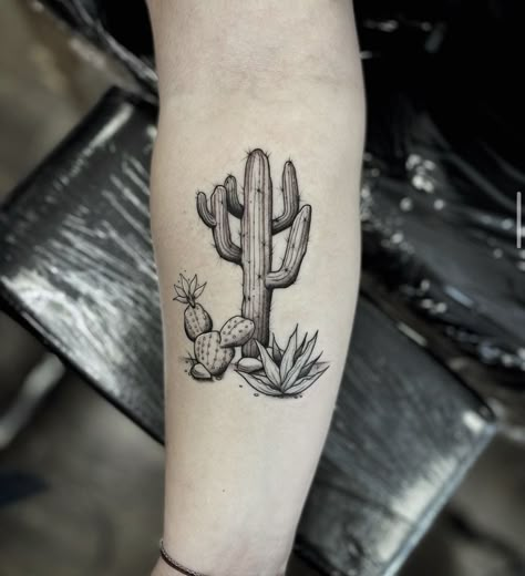 Ocotillo Tattoo, Desert Tattoos, Stippling Tattoo, Desert Tattoo, Pine Tattoo, Succulent Tattoo, Arizona Tattoo, Cactus Tattoos, Tattoo Apprenticeship